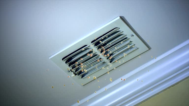 Best Air Duct Cleaning Near Me  in Fairfield, IL